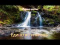 Мудрые притчи. Мотивация. Единство и жизнь