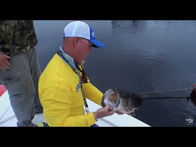 Sportsman's Adventures: Bass Fishing in Fellsmere, Florida Stick Marsh  Season 21