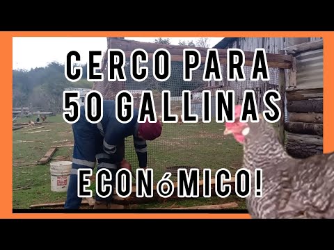 Cerco económico para 50 gallinas de 150m2 hqdefault