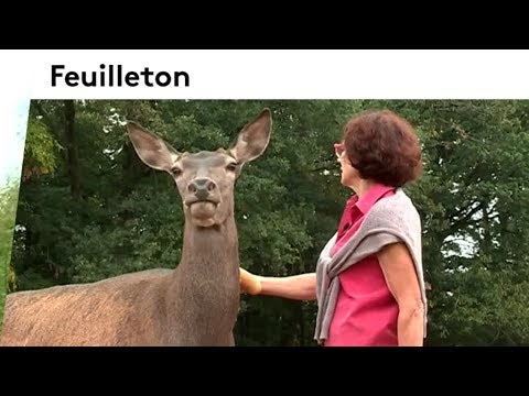 Dans les coulisses d'un refuge pour les animaux sauvages (épisode 04/04) france télévisions sport