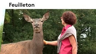 Dans les coulisses d'un refuge pour les animaux sauvages (épisode 04/04)