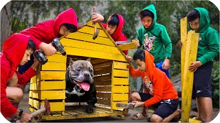 Tony Xây Biệt Thự Di Động Cho Bull Đệ - Build Villa For Dog