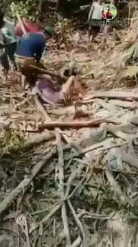 video story WA paling lucu. . 'BUJANG KELANA'