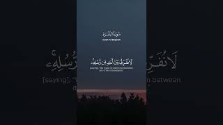 آمن الرسول بما أنـزل إليه من ربه والمؤمنون كل آمن بالله وملائكته وكتبه ورسله | الشيخ ماهر المعيقلي