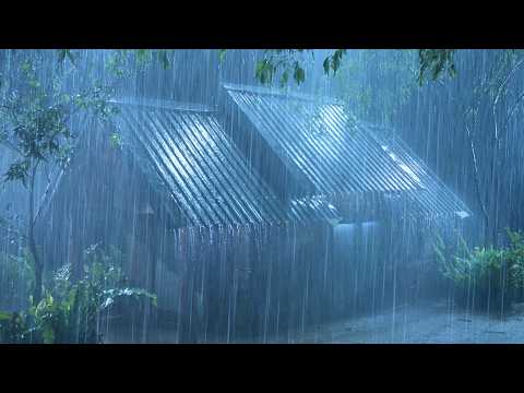 (No Ads) Cozy Rain & Thunder on Metal Roof | Fall Asleep Fast, Deep Sleep & Stress Relief