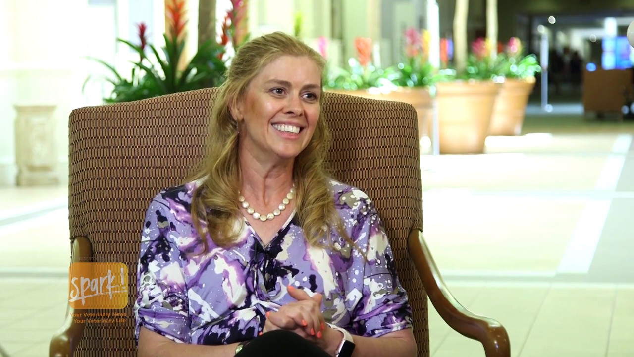 The Impact of Oral Health on Pet Quality of Life