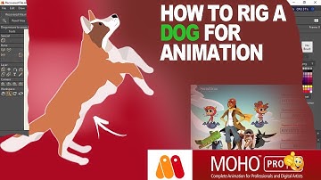 How To Rig a dog in moho studio