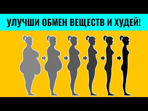 Как ускорить обмен веществ для похудения. Что такое метаболизм?