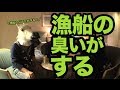 【旅動画】ぼくらは新世界で旅をする Part:12【北海道カレー編】