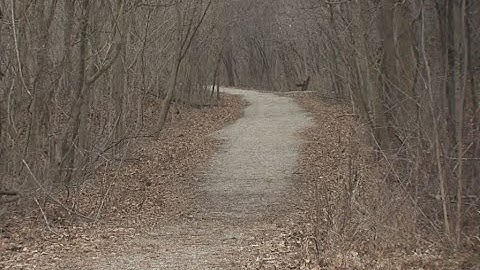 Delphi Murders. Quick Morning Convo