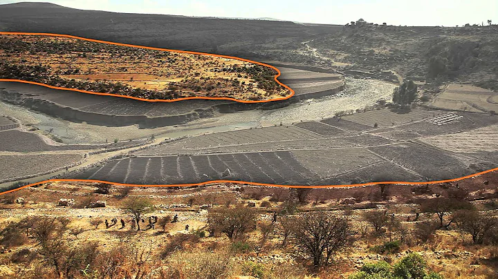 Regreening Ethiopia's Highlands: A New Hope for Africa (6 min)