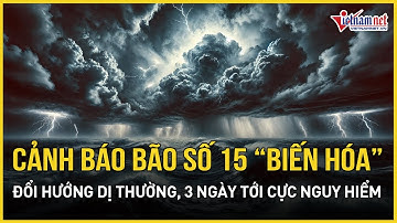 Cảnh báo nóng: Bão số 15 “biến hóa” đổi hướng dị thường, cường độ hung bạo, 3 ngày tới cực nguy hiểm