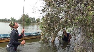 CHUỘT KHÔNG LỐI THOÁT SĂN CHUỘT MÙA LŨ - TT958