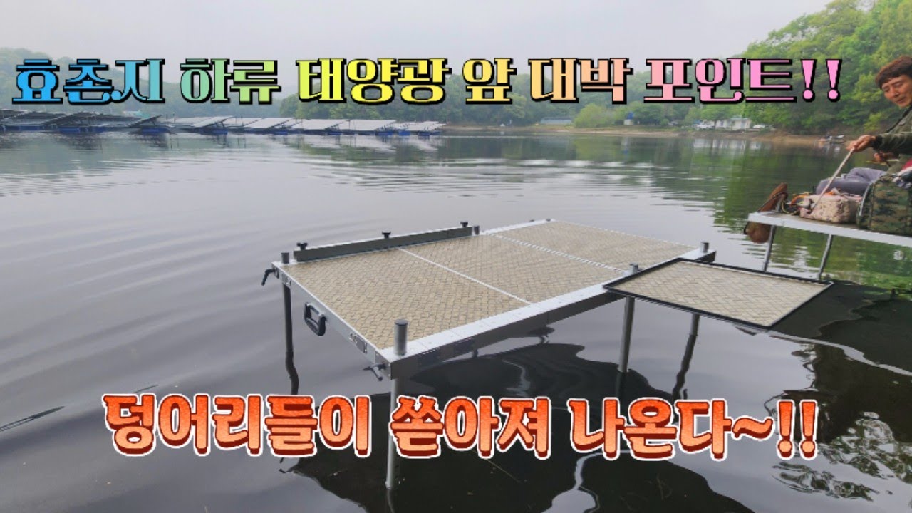 오랜만에 자리한 효촌지 하류 태양광 앞 여기가 대박 포인트다~!!#중앙어수라 #초계찌 #차이조구 #거북선 대왕좌대