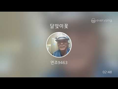 [everysing] 달맞이꽃