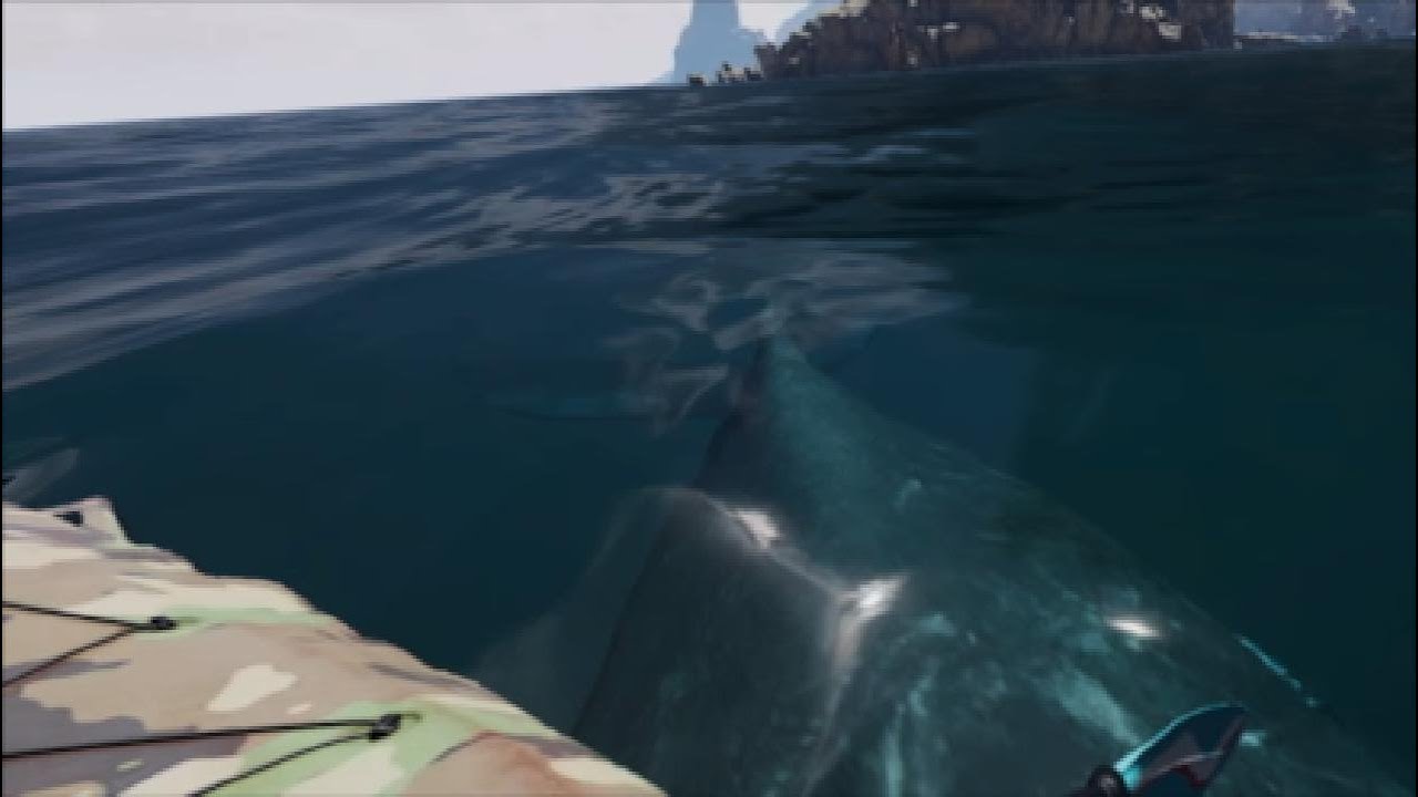 Kayak VR whale encounter YouTube
