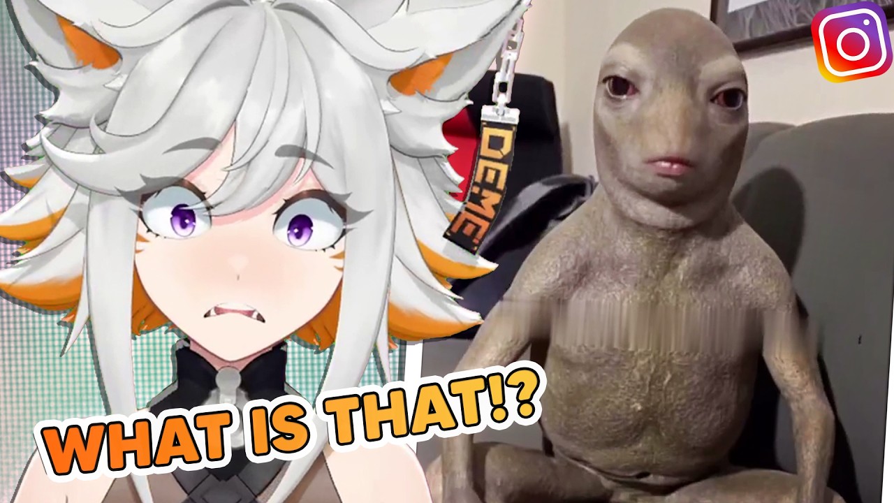 Deme Reacts to Memes She Should’ve Ignored at 3AM (With Bingo)