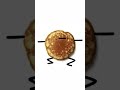 I'm pancake 🥞