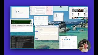 OpenDocRouter: Use the API and SDK