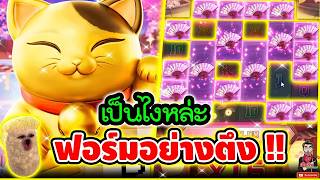เฮียริช สล็อตแมว Lucky Neko ➤ เป็นไงหล่ะ ฟอร์มอย่างตึง !!