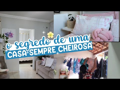 Vídeo: Veja como manter todos seguros ao dirigir com um cachorro