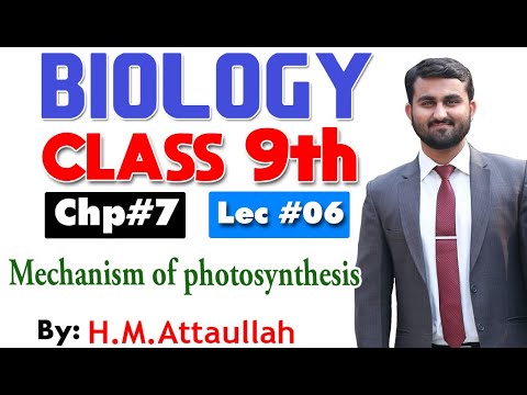 Mechanism of photosynthesis | Smart syllabus | Chapter 7 | 9th class Biology |ALP |Lec 6