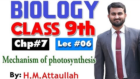 Mechanism of photosynthesis  | Smart syllabus | Chapter 7 | 9th class Biology |ALP |Lec 6