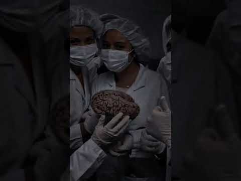 انا مش هستسلم لا