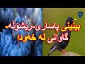 دیتنی پاساری ریشۆڵە گاوانی باڵندەییەکە لەخەودا چییە