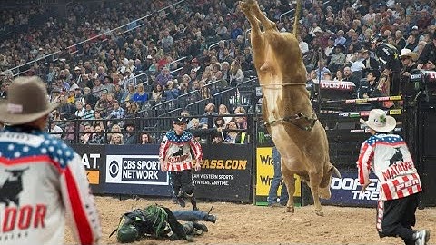 The best Bucking Bull Moments PBR 2022