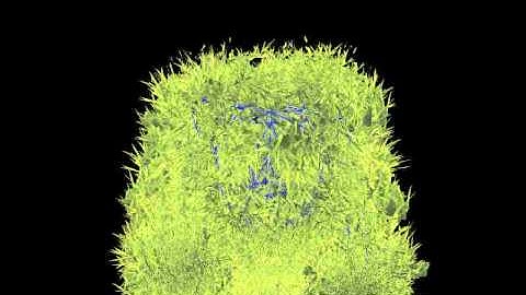 jMonkey-EmitterStatic02