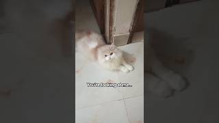 Martin Loves You Guys