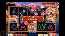 Dbest Casino