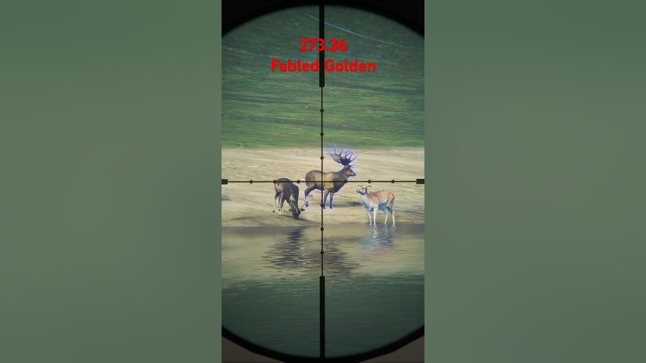 Irish Elk Rack Great One Fallow cotw YouTube