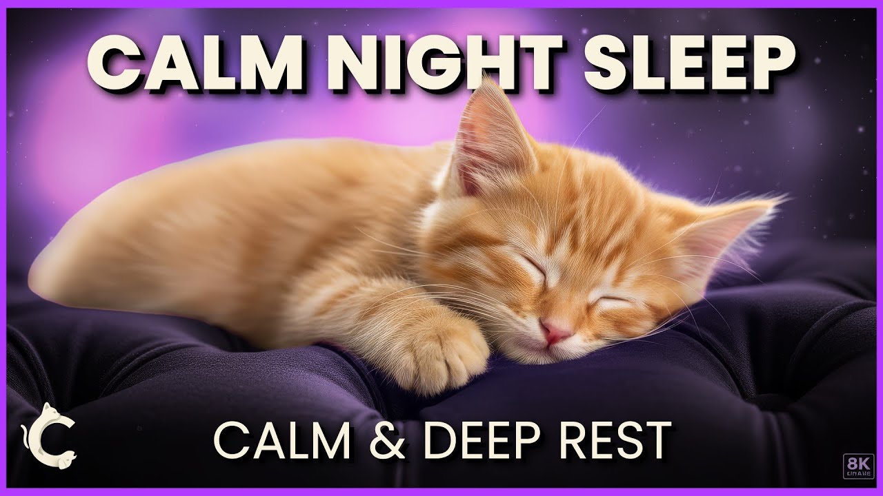 Cat Night Sleep Music 🐾 Gentle music for Calm & Deep Rest
