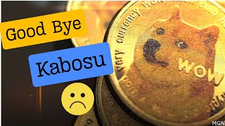 Farewell Kabosu The Doge That Changed the Internet