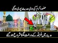 Why They Planting This Tree In Madina In Urdu Hindi