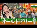 【インド旅行】これぞインド！オールドデリーを気ままに街散策！〜最大級モスクから老舗カレーまで女ひとり旅〜