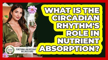 What Is The Circadian Rhythm