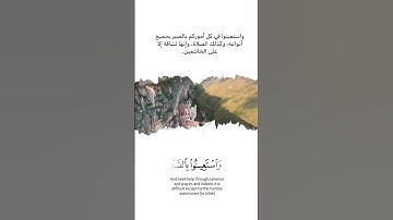 أتأمرون الناس بالبر وتنسون أنفسكم وأنتم تتلون الكتاب | سورة البقرة | القارئ #شريف_مصطفى
