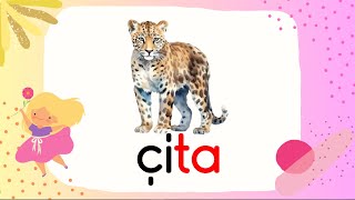 Ç-Ç Harfi Kelime Çalışması