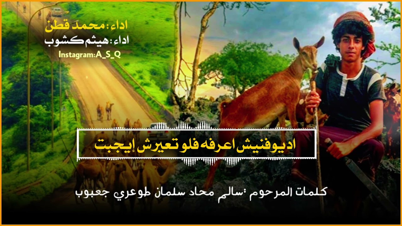 دبرارت | كلمات : المرحوم سالم محاد سلمان طوعري جعبوب | أداء : محمد قطن  : هيثم كشوب