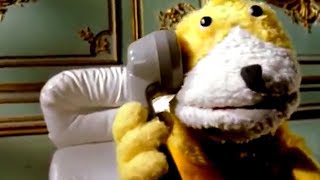 Hello?? Blip Blop Blip Blop