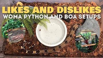 What I like and dislike about my Woma Python and Boas enclosure setups