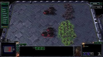 StarCraft 2 Infested Terran Trick