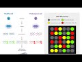 All the questions that came about microarrays in wbi15 past papers