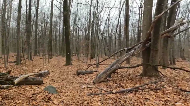 Winter walking tour of Campgaw mountain in a snow ...