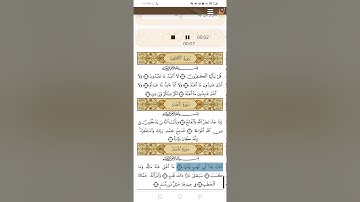 سورة المسد القارئ  محمد أيوب مكررة ٣ مرات