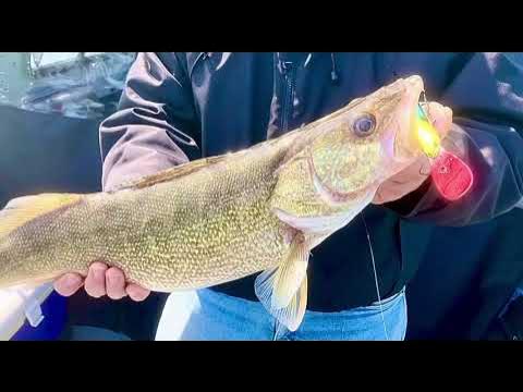 DIRTY WATER WALLEYES WITH LURE LIPSTICK!! 