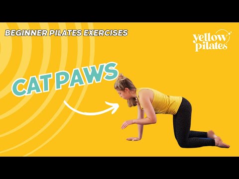 Cat Paws | Beginner Pilates | Yellow Pilates